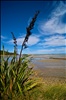 Abel Tasman National Park